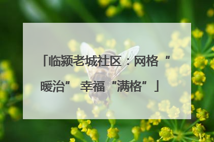 临颍老城社区：网格“暖治” 幸福“满格”