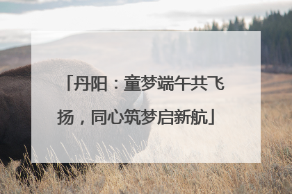 丹阳：童梦端午共飞扬，同心筑梦启新航