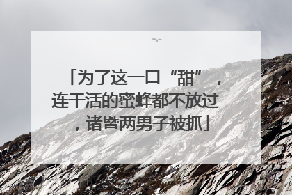 为了这一口“甜”，连干活的蜜蜂都不放过，诸暨两男子被抓