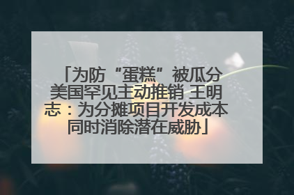 为防“蛋糕”被瓜分 美国罕见主动推销 王明志：为分摊项目开发成本同时消除潜在威胁