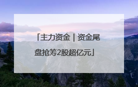 主力资金｜资金尾盘抢筹2股超亿元