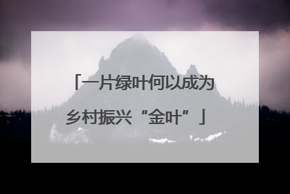 一片绿叶何以成为乡村振兴“金叶”