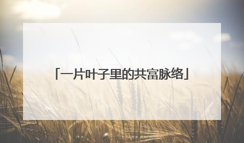一片叶子里的共富脉络