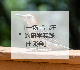 一场“出汗”的研学实践座谈会