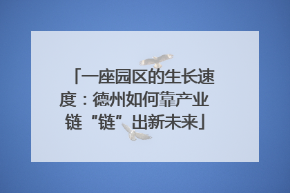 一座园区的生长速度：德州如何靠产业链“链”出新未来