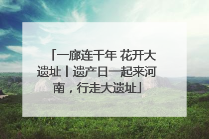 一廊连千年 花开大遗址丨遗产日一起来河南，行走大遗址