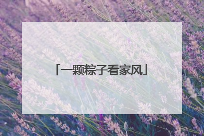 一颗粽子看家风