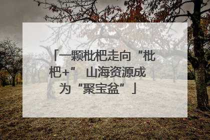 一颗枇杷走向“枇杷+” 山海资源成为“聚宝盆”