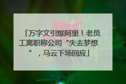 万字文引爆阿里！老员工离职称公司“失去梦想”，马云下场回应