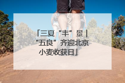 三夏“丰”景｜“五良”齐迎北京小麦收获日