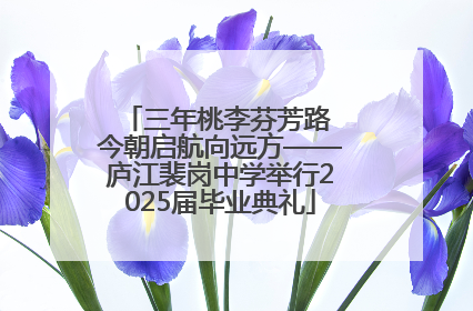 三年桃李芬芳路 今朝启航向远方——庐江裴岗中学举行2025届毕业典礼