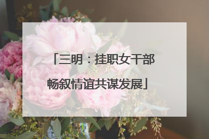三明：挂职女干部畅叙情谊共谋发展