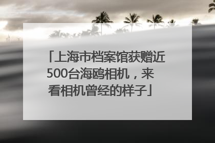 上海市档案馆获赠近500台海鸥相机，来看相机曾经的样子