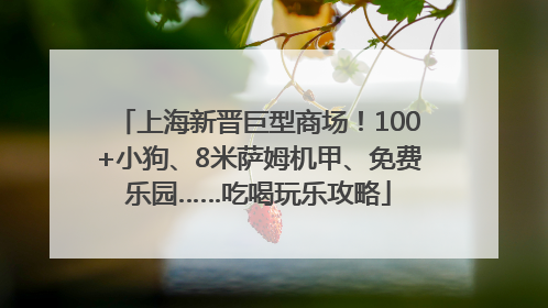 上海新晋巨型商场！100+小狗、8米萨姆机甲、免费乐园……吃喝玩乐攻略