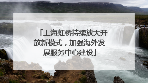 上海虹桥持续放大开放新模式，加强海外发展服务中心建设