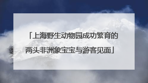 上海野生动物园成功繁育的两头非洲象宝宝与游客见面