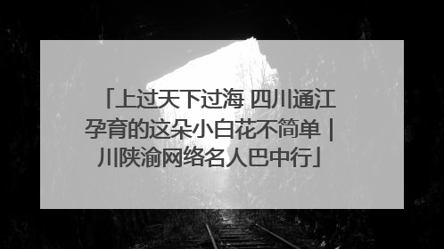 上过天下过海 四川通江孕育的这朵小白花不简单｜川陕渝网络名人巴中行