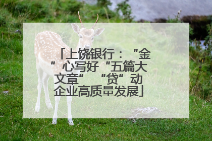 上饶银行：“金”心写好“五篇大文章” “贷”动企业高质量发展
