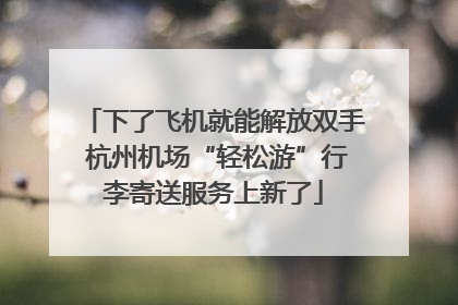 下了飞机就能解放双手 杭州机场“轻松游”行李寄送服务上新了