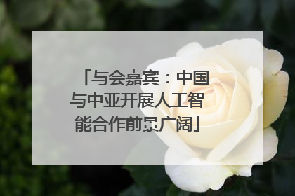 与会嘉宾：中国与中亚开展人工智能合作前景广阔