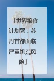 世界粮食计划署：苏丹首都面临严重饥荒风险