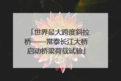 世界最大跨度斜拉桥——常泰长江大桥启动桥梁荷载试验
