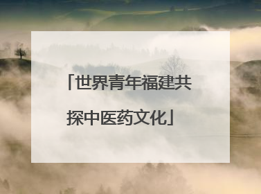 世界青年福建共探中医药文化