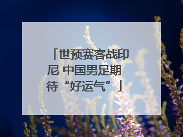 世预赛客战印尼 中国男足期待“好运气”