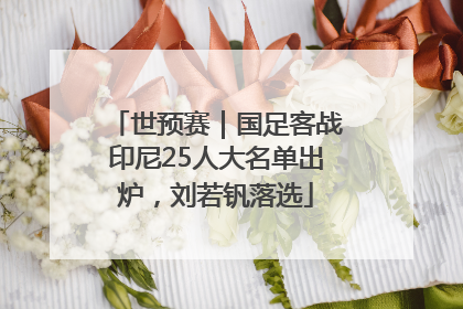 世预赛｜国足客战印尼25人大名单出炉，刘若钒落选