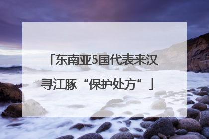 东南亚5国代表来汉寻江豚“保护处方”