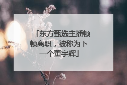 东方甄选主播顿顿离职，被称为下一个董宇辉