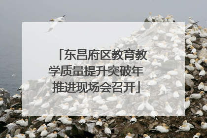 东昌府区教育教学质量提升突破年推进现场会召开