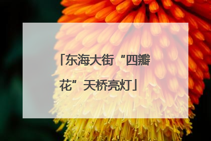 东海大街“四瓣花”天桥亮灯
