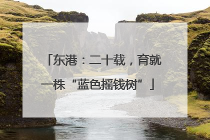 东港：二十载，育就一株“蓝色摇钱树”