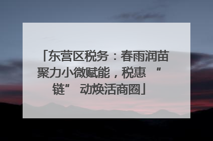 东营区税务：春雨润苗聚力小微赋能，税惠 “链” 动焕活商圈