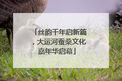 丝韵千年启新篇，大运河蚕桑文化嘉年华启幕
