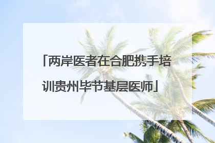 两岸医者在合肥携手培训贵州毕节基层医师