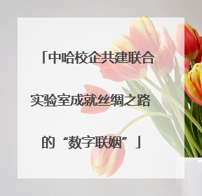 中哈校企共建联合实验室成就丝绸之路的“数字联姻”