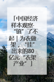 中国经济样本观察·“镇”了不起｜为衣做架，“挂”出来的80亿元“衣架产业”