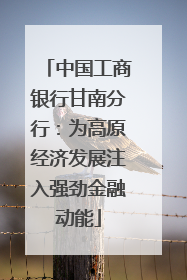 中国工商银行甘南分行：为高原经济发展注入强劲金融动能
