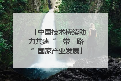 中国技术持续助力共建“一带一路”国家产业发展