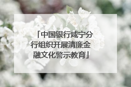 中国银行咸宁分行组织开展清廉金融文化警示教育