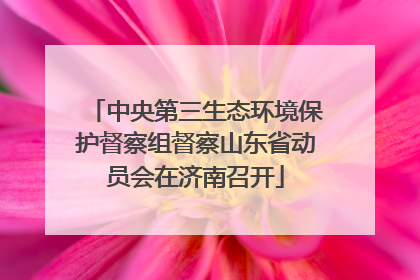 中央第三生态环境保护督察组督察山东省动员会在济南召开