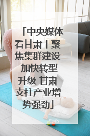 中央媒体看甘肃丨聚焦集群建设 加快转型升级 甘肃支柱产业增势强劲