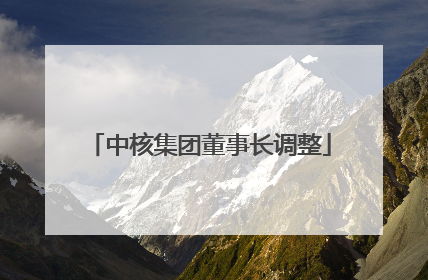 中核集团董事长调整
