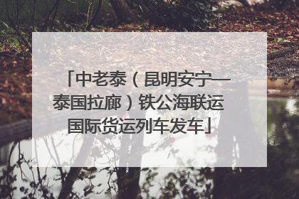 中老泰（昆明安宁—泰国拉廊）铁公海联运国际货运列车发车