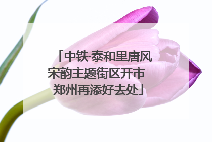 中铁·泰和里唐风宋韵主题街区开市 郑州再添好去处