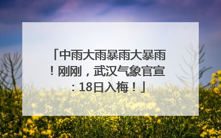 中雨大雨暴雨大暴雨！刚刚，武汉气象官宣：18日入梅！