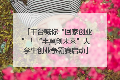丰台喊你“回家创业”！“丰翼创未来”大学生创业争霸赛启动