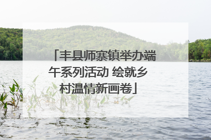丰县师寨镇举办端午系列活动 绘就乡村温情新画卷